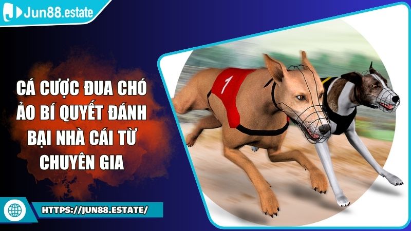 Cá Cược Đua Chó Ảo Bí Quyết Đánh Bại Nhà Cái Từ Chuyên Gia 5 Cá cược đua chó ảo