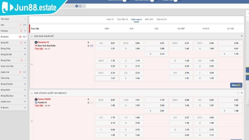 Thể Thao UG JUN88 Thế Giới Cá Cược Đỉnh Cao Và An Toàn 2025 2 Giao diện Thể Thao UG JUN88 sống động